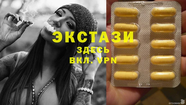 ECSTASY Богородицк